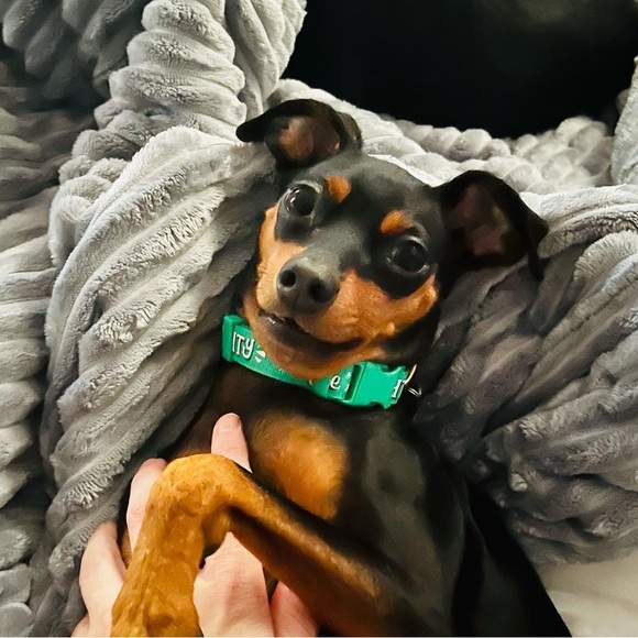 Meet your Posher, Regina - Picture 10 of 10